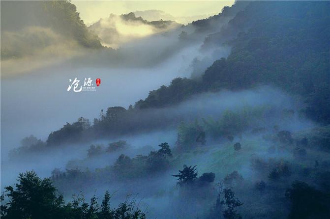 “卖一拽茶叶买不到一拽油!”缅甸茶叶、辣椒农户哭诉生活太难